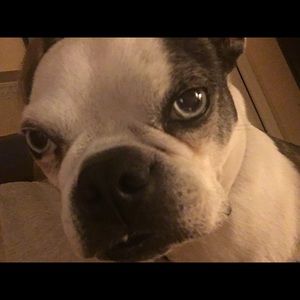 Meet your Posher, Tracy